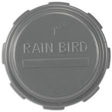 Rain Bird Eindkap PVC binnendraad 10bar grijs S1