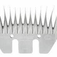 CONDOR Run-in ondermes 3 / 98