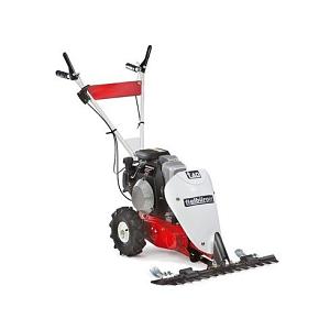 Motormaaier T40, Briggs & Stratton 3,5 PK
