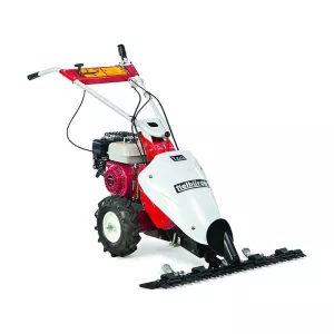 Motormaaier T60, Briggs & Stratton Intek