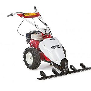 Motormaaier T70, Briggs & Stratton Intek