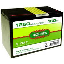 Batterij 9 Volt - 1250 Wh 160 Ah, alkaline