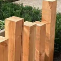 <p>Hieronder ziet u ons uitgebreide assortiment hardhouten palen, houten palen en ronde palen. Aan de linker kant kunt u de gewenste maat  en houtsoort filteren om sneller tot een keuze te komen. </p>
