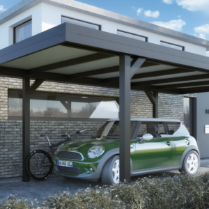 Flatroofcarport  Zonder overstek 320x400 (Ral**)