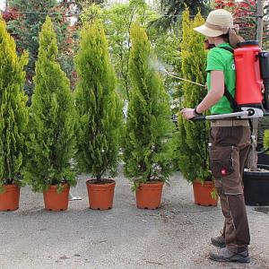 BIRCHMEIER FLOX 10 AT1