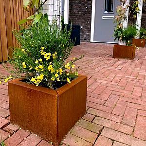 Cortenstaal plantenbak - Vierkant - 30 x 30 x 80 cm - Zonder bodemplaat