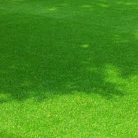 <p>Wat te overwegen bij het kiezen van kunstgras:</p>

<ol>
	<li><strong>Kwaliteit van het kunstgras:</strong> Kies voor kunstgras met goede pile hoogte, dichtheid en UV-bestendigheid voor een natuurlijke uitstraling en duurzaamheid.</li>
	<li><strong>Soorten kunstgras:</strong> Er zijn verschillende soorten, zoals:
	<ul>
		<li><strong>Speelgras:</strong> Geschikt voor speelvelden en tuinen.</li>
		<li><strong>Sportgras:</strong> Voor sportvelden en intensief gebruik.</li>
		<li><strong>Decoratief gras:</strong> Voor tuinen en decoratie, vaak met een natuurlijke uitstraling.</li>
	</ul>
	</li>
	<li><strong>Dikte en textuur:</strong> Hoe dikker en zachter het gras, hoe prettiger het aanvoelt.</li>
	<li><strong>Kleur en uitstraling:</strong> Kies voor een natuurlijke groene kleur en een realistische textuur.</li>
	<li><strong>Onderlaag en drainage:</strong> Zorg voor goede onderlagen en drainage voor langdurig gebruik.</li>
</ol>
