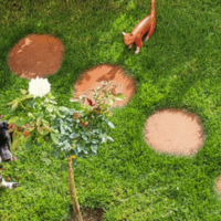 <p><strong>Een pad vol karakter: de charme van cortenstaal staptegel</strong></p>

<p>Stel je voor: een tuinpad dat niet alleen functioneel is, maar ook een echte blikvanger vormt. Een pad dat de natuurlijke schoonheid van je buitenruimte benadrukt en tegelijkertijd een gevoel van warmte en authenticiteit uitstraalt. Dat is precies wat cortenstaal staptegel brengt.</p>

<p>Deze unieke staptegel, vervaardigd uit robuust cortenstaal, combineert duurzaamheid met een natuurlijke uitstraling. Naarmate de tijd verstrijkt, ontwikkelt het materiaal een karakteristieke, roestige patina die elk stuk een eigen verhaal geeft. Het oppervlak krijgt een warme, aardse tint die perfect harmonieert met de groene omringende planten en bloemen.</p>

<p>De cortenstaal staptegel is niet zomaar een bouwmateriaal; het is een kunstwerk op zich. Door zijn stevige constructie en natuurlijke uitstraling zorgt hij voor een stijlvolle en duurzame oplossing voor paden, terrassen of opritten. De geometrische vormen en de natuurlijke textuur zorgen voor een speelse en toch elegante uitstraling, waardoor het pad niet alleen functioneel is, maar ook een visueel hoogtepunt vormt.</p>

<p>Wat deze tegels nog bijzonder maakt, is hun weerbestendigheid en onderhoudsvriendelijkheid. Ze vragen weinig aandacht, blijven jarenlang mooi en passen zich naadloos aan elke tuinstijl aan &mdash; van modern minimalisme tot landelijke rust.</p>

<p>Met cortenstaal staptegel neem je een stukje natuurlijke kracht en tijdloze elegantie in huis. Het is een investering in een duurzame, stijlvolle buitenruimte die je keer op keer verwondert en uitnodigt om te genieten van de schoonheid van de natuur en het buitenleven.</p>
