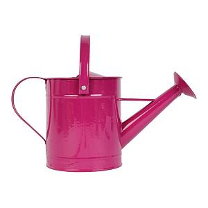 Kindergieter metaal violet