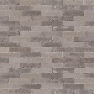 Abbeystones 20x5x7 cm Certosa