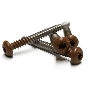 RVS schroef met gekleurde top voor NewTechWood Castellation PRO, set a 50 stuks incl. bit, Teak.