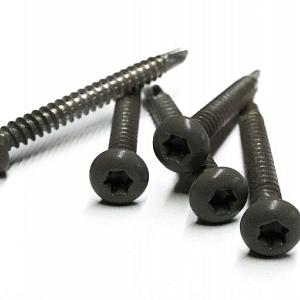RVS schroef met gekleurde top voor NewTechWood Castellation PRO, set a 50 stuks incl. bit, Silver gr