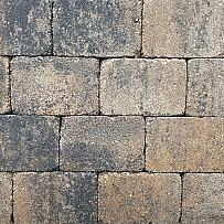 Stonique trommelsteen 21x14x7 cm musselkalk – tijdloze natuursteen voor tuin en oprit