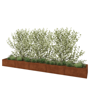 Cortenstaal plantenbak XXL - Rechthoek - 500 x 80 x 40 cm - Met bodemplaat
