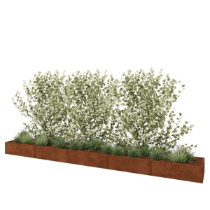 Cortenstaal plantenbak XXL - Rechthoek - 500 x 60 x 30 cm - Met bodemplaat
