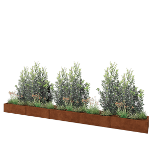 Cortenstaal plantenbak XXL - Rechthoek - 500 x 50 x 30 cm - Zonder bodemplaat