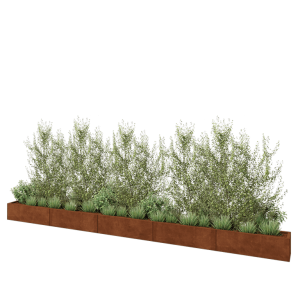 Cortenstaal plantenbak XXL - Rechthoek - 500 x 30 x 30 cm - Zonder bodemplaat