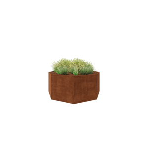 Cortenstaal plantenbak - Achthoek - 241,4 x 241,4 x 100 cm - Zonder bodemplaat