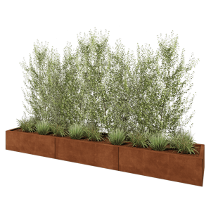Cortenstaal plantenbak XXL - Rechthoek - 300 x 50 x 30 cm - Met bodemplaat