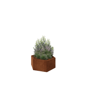 Cortenstaal plantenbak - Zeshoek - 79,3 x 69,3 x 30 cm - Zonder bodemplaat