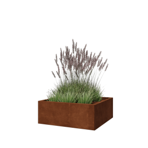 Cortenstaal plantenbak - Vierkant - 80 x 80 x 30 cm - Zonder bodemplaat