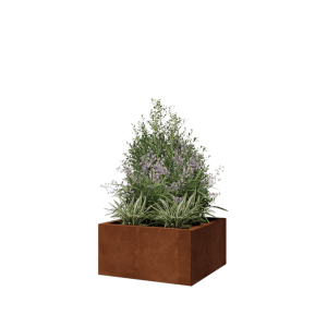 Cortenstaal plantenbak - Vierkant - 60 x 60 x 30 cm - Met bodemplaat