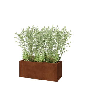 Cortenstaal plantenbak - Rechthoek - 100 x 40 x 40 cm - Zonder bodemplaat