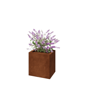 Cortenstaal plantenbak - Rechthoek - 40 x 30 x 40 cm - Met bodemplaat