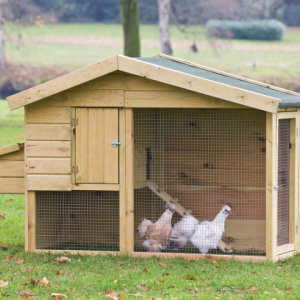 Dierenverblijf Barnevelder