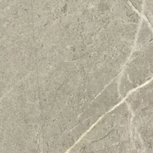 TAOL di Bosce Nature 100x100x2 cm Rectified 100x100x2 cm
