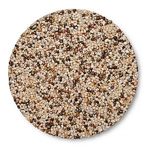 WS StoneBinder Sea Shell