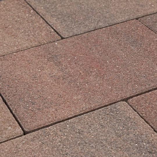 ELITON SUPREME LINEA 20×30×6 cm Adamello — compacte betontegel in bont/rode kleur