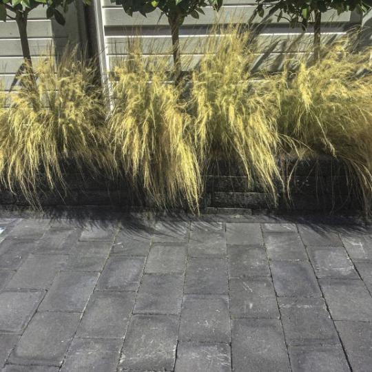 TUMBELTON EXTRA 20×30×6 cm Coal — royale tegel met stoere uitstraling