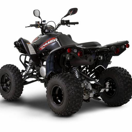 Kymco MOTOR ATV MAXXER 300 T3B ZWART 53437