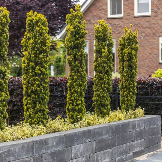 BLOCKSTONE BLACK 15X15X60CM *KP*