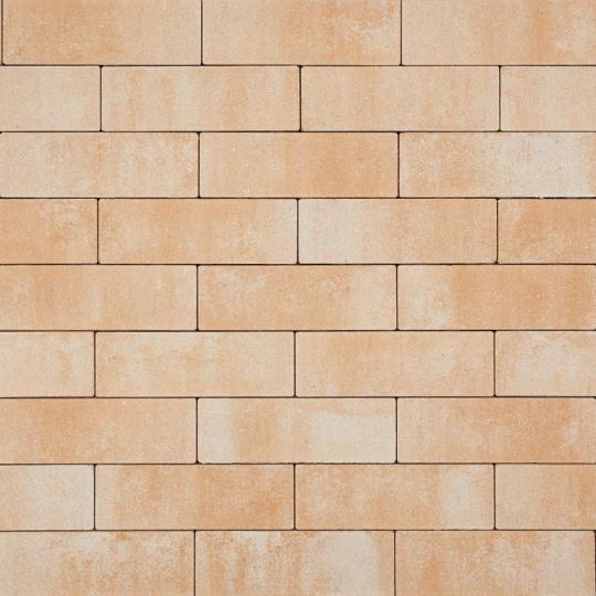 Smartton Mont Blanc 10x30x6 cm – compacte steen met zonnige uitstraling