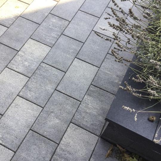 Betonsteen PREMITON LINEA 20x30x6 cm Lanzarote