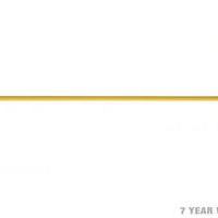 Draadpen zwaar met L-kop 800 mm