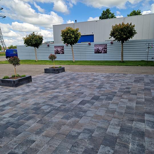 Straksteen 20x30x6 cm oud drachten