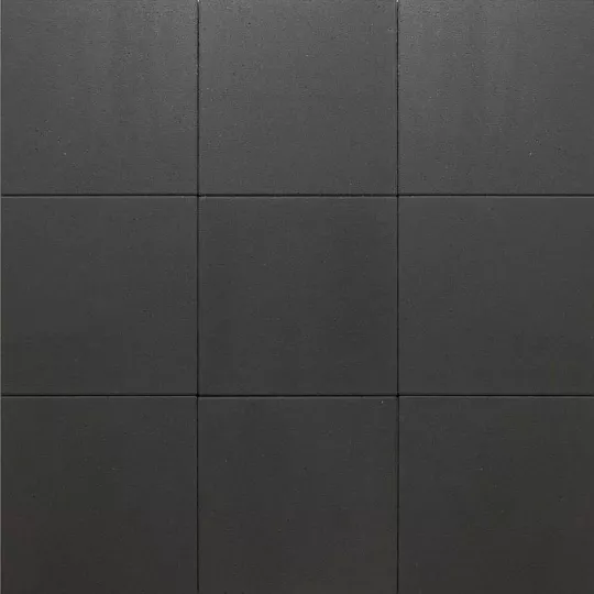 tuintegel 20x40x5 cm zwart met mini facet - een compacte tegel