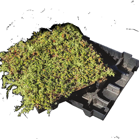 Wildflowertray m2 op aanvraag