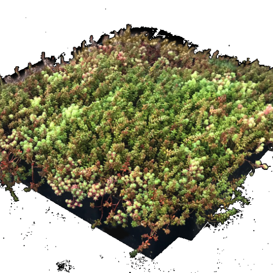 Wildflowertray m2 op aanvraag