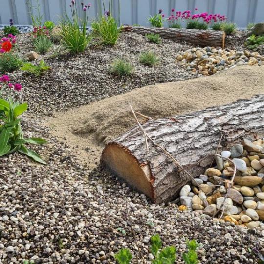 Beezzz  n Bio daktuinpakket