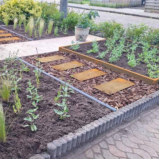 Cortenstaal staptegel - Rechthoek - 60 x 25 cm