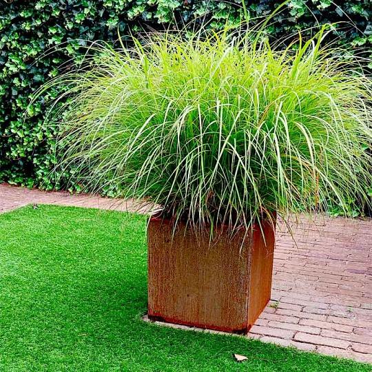 Cortenstaal plantenbak - Vierkant - 40 x 40 x 60 cm - Zonder bodemplaat