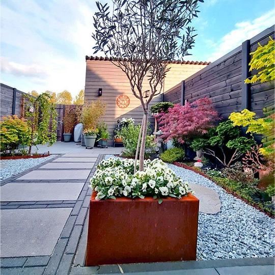 Cortenstaal Plantenbak  50 x 50 x 30 cm zonder bodem