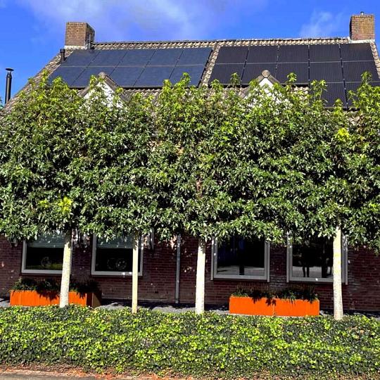 Cortenstaal Plantenbak   60 x 200 x 80 cm zonder bodem