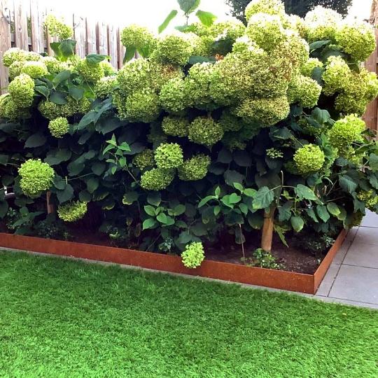 Cortenstaal borderrand geplet 13 cm (lengte 240 cm)