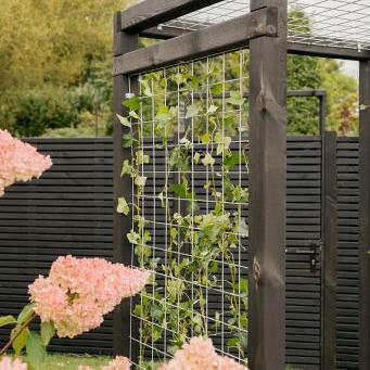 Gaaspaneel met maas 15 x 15 cm stekloos, verzinkte draad, 75 x 180 cm.