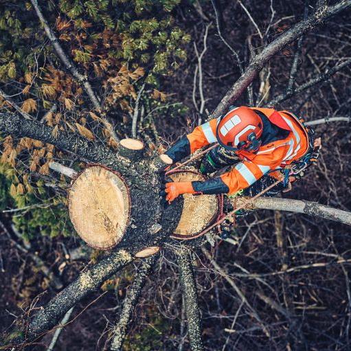 Husqvarna T542i XP  12" kettingzaag